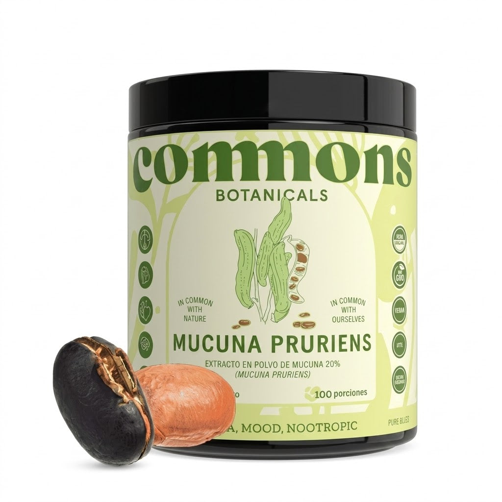 Mucuna Extracto