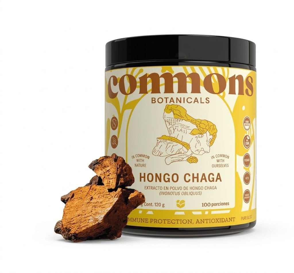 Hongo Chaga
