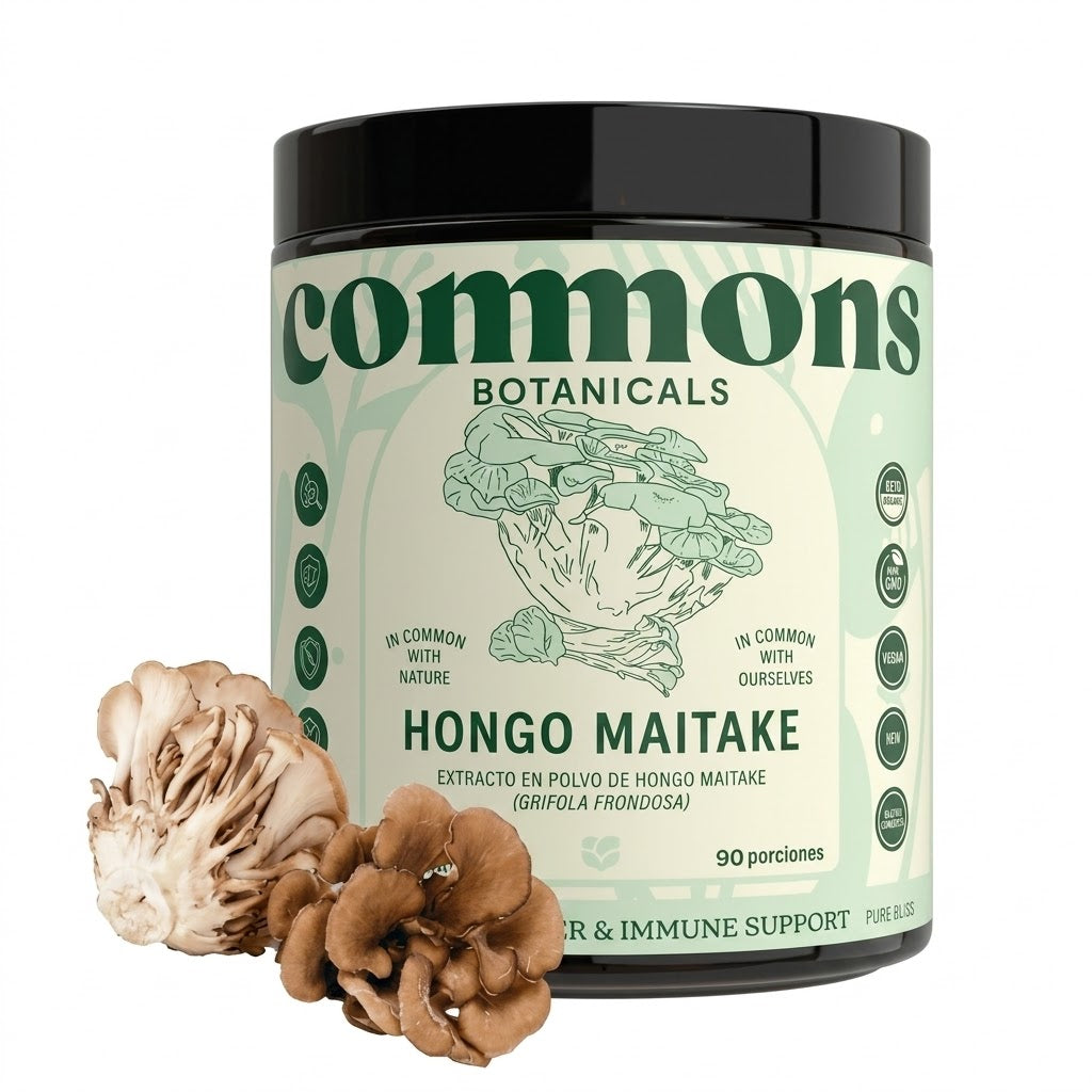 Hongo Maitake
