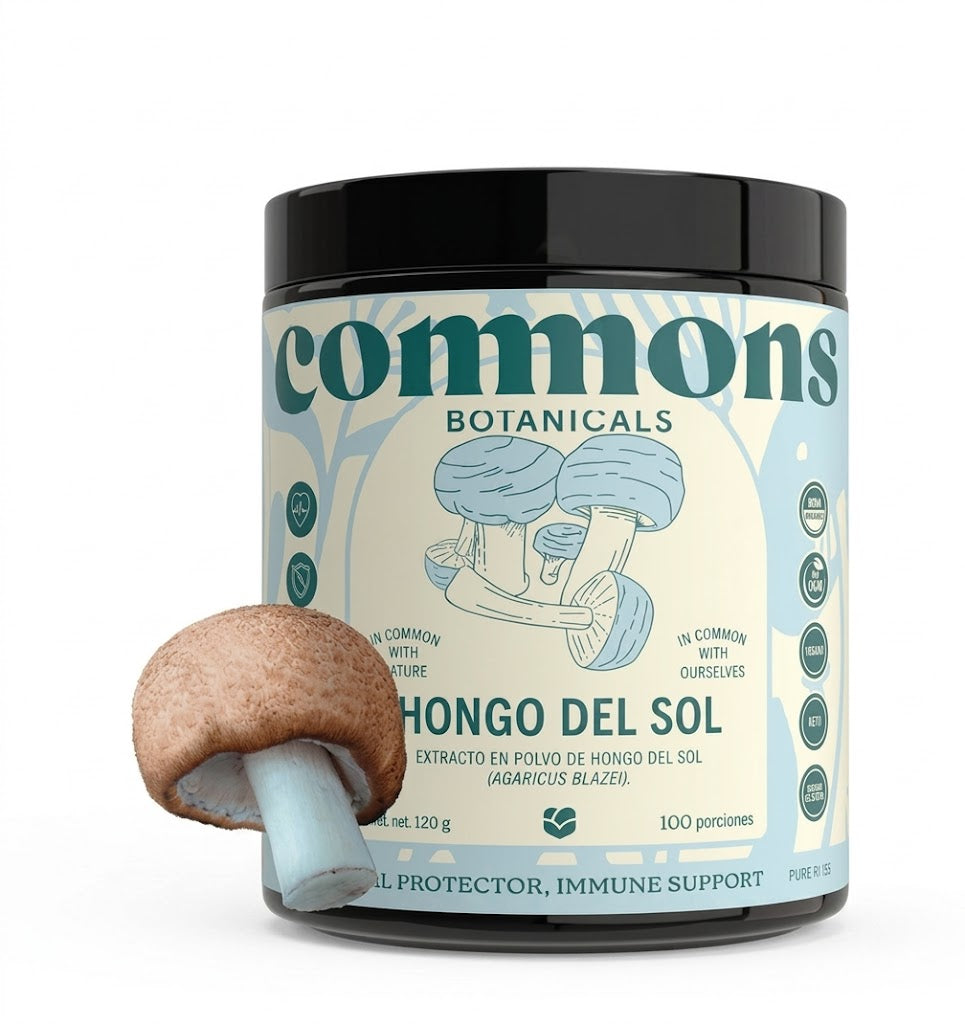 Hongo del Sol