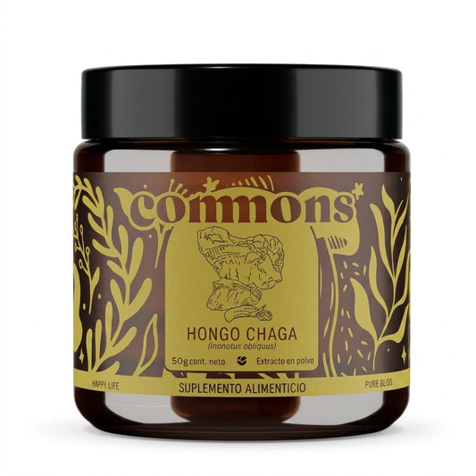 Hongo Chaga